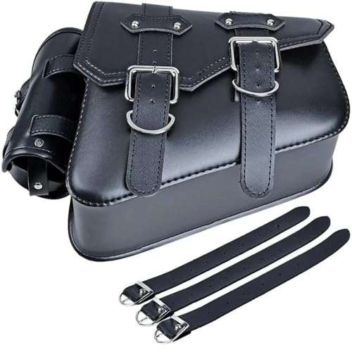 Bolsas laterales para motocicleta que solucionan la falta de espacio en XL1200