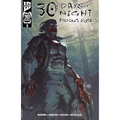 30 Days of Night: Falling Sun #2