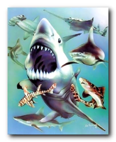 Impact Posters Gallery White Sharks Collage Ocean Animal Kids Room Wall Decor Art Print Poster (16x20)