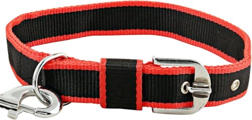 Image of THE BON BON Premium 5ft Dog Leash and Collar Set for Large Dogs | Heavy Duty Nylon with Reflective Stitching, Padded Handle, Adjustable Collar | Ideal for Walking and Training (Black, Medium)