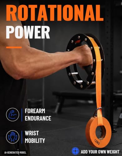 Image of Fitarc Wrist Rotation Trainer Forearm Pronation Supination Exerciser Roller