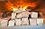 Savory Blend 5 Inch Universal Cooking Firewood - 8lbs. ~575cuin Premium Kiln Dried Cooking Wood for Grills, Smokers and Ooni, Solo, Bertello Pizza Ovens (Savory Hardwood Blend)