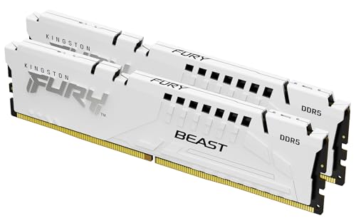 Kingston Fury DDR5-6000MT/s 64GB(32x2枚) 413jyRbuPML.jpg