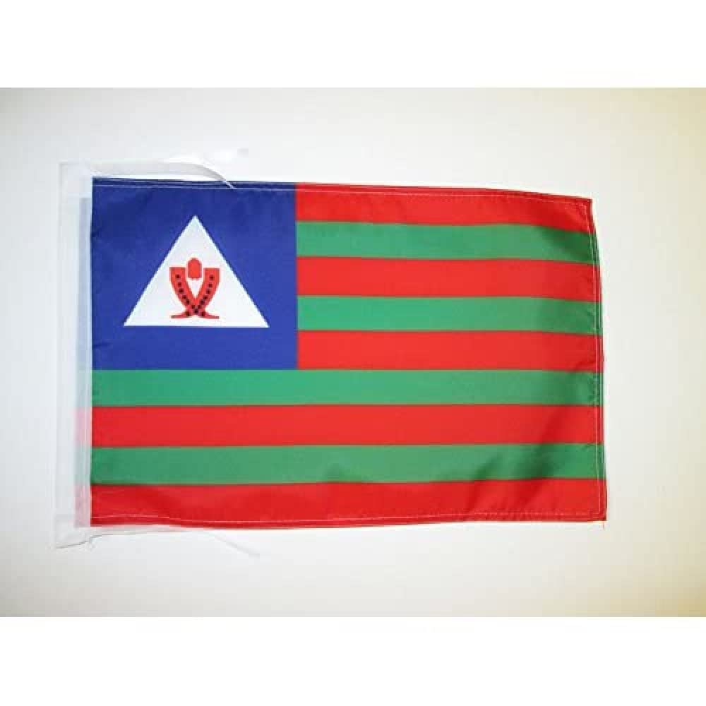 Iran Old Persia Flag 18'' x 12'' cords - Persian SMALL flags 30 x 45cm - Banner 18x12 in - AZ FLAG — view 1042