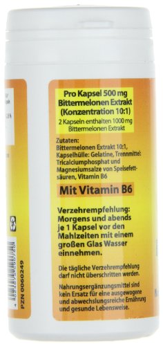 Avitale Bittermelone Kapseln 500 mg, 60 Stück, 2er Pack (1 x 38 g)