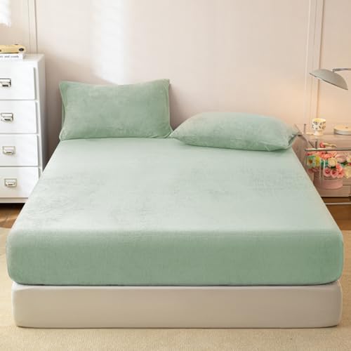 {bNXV[c  ~  g _炩 ӂӂ }CNt@Co[ tl ۉ }bgXveN^[ SS ÓdCh~ Ȃ 3F5TCY (O[, NC[E160×200×30cm)