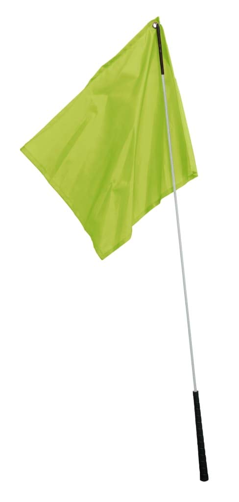 Flag Training Stick Lime