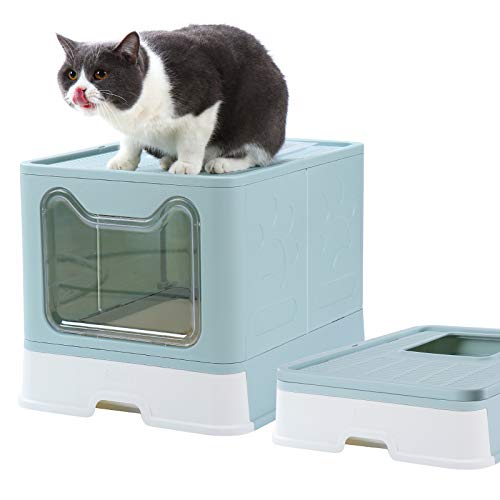 Best Litter Box for Large Cats Timeline Pets