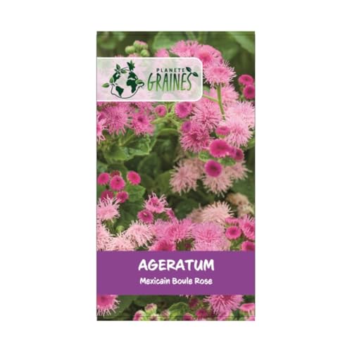1000 graines Agératum mexicain boule rose - plante de massif et de bordure rocail - pink - Agérate du Mexique