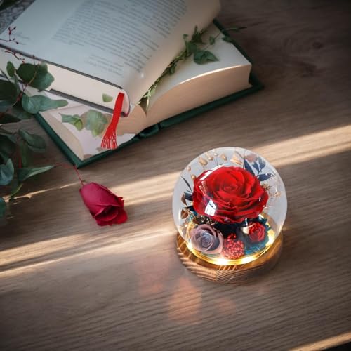 Preserved Roses, Forever Flowers in Glass Globe, Decorative Tabletop Centerpieces, Artificial Flowers Souvenir for Mother’s and Valentine's Day or Girlfriend Gift, 12cm/13cm, Red - Afbeelding 6