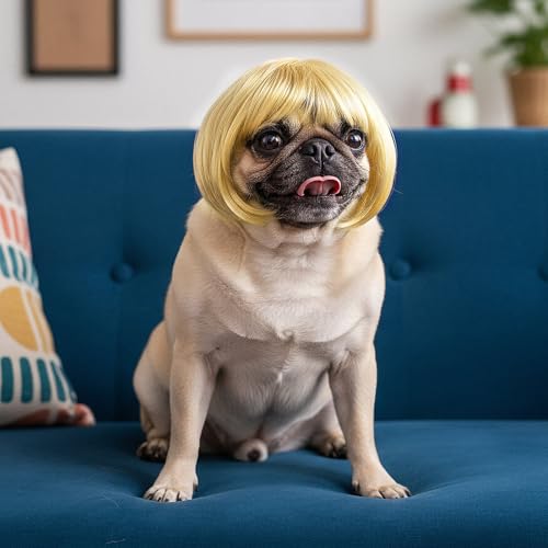 Cobee Lustige Hunde Katzen Cosplay Perücke,Haustier Perücke verstellbares Kostüm lustige Kopfbedeckung Kostüme Kopfbedeckung für kleine mittelgroße Perücken Halloween Weihnachten Dekorationen