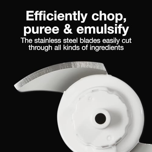 Mini Blender For Pesto
