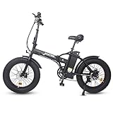 ECOTRIC Electric Bike 500W Folding Ebike 20' Fat Tire Foldable Electric Bicycle 48V 12.5AH Lithium Removable Battery Beach Snow Mountain E-Bike Commute Ebike for Adults 7-Speed