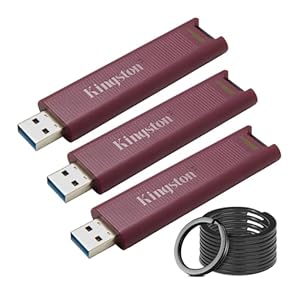 Kingston DataTraveler Max Type-A 256GB High Performance USB Flash Drive (3-Pack) Bundle with Focus Camera Stainless Steel Keyrings (10-Pack) (4 Items)