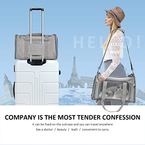 Image of PETANGEL Cat and Small Dog Carrier Bag, 50cm Large Cat Carrier Soft Sided Carrier, Folding Dog Carrier (Grey, L+: 50cm x 34cm x 34cm)