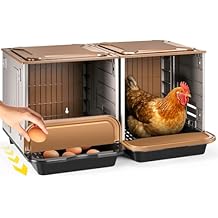 Chicken Nesting Box, 2 Compartment Nesting Boxes for Chickens, Large Chicken Laying Boxes for Egg Collection & Hen on Nest, Roll Away Nesting Boxes Chicken Extra Large