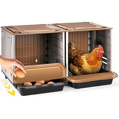 Chicken Nesting Box, 2 Compartment Nesting Boxes for Chickens, Large Chicken Laying Boxes for Egg Collection & Hen on Nest, Roll Away Nesting Boxes Chicken (Extra Large)