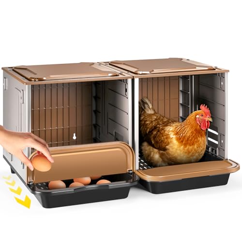 AugFir 2 Compartment XL