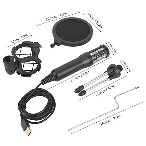 Garsentx Microfono di Registrazione a condensatore...