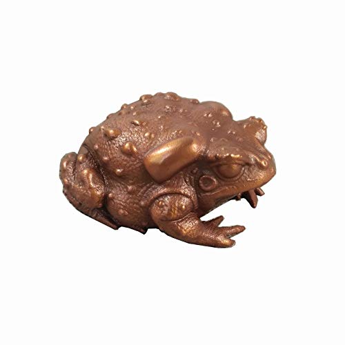 OGRM Fine Handmade Bronze Casting Vivid Artwork Lifelike Mini Forg Toad Gong, Lost Wax Casting Bronze Clam Salmon, Metal Artwork Craft Figurine Statue Table top Display Decor