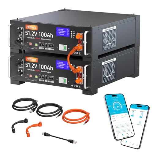 2 baterías de litio LiFePO4 de 48 V y 100 Ah, 10,24 KWh de 48 V, batería de litio, con...