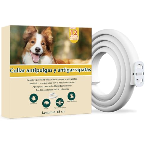 Collar Antiparasitario Perros, Collar Antipulgas Perros con 24 Meses de Protección Efectiva, Impermeable, Ajustable, para Perros Pequeños, Medianos y Grandes (65cm)