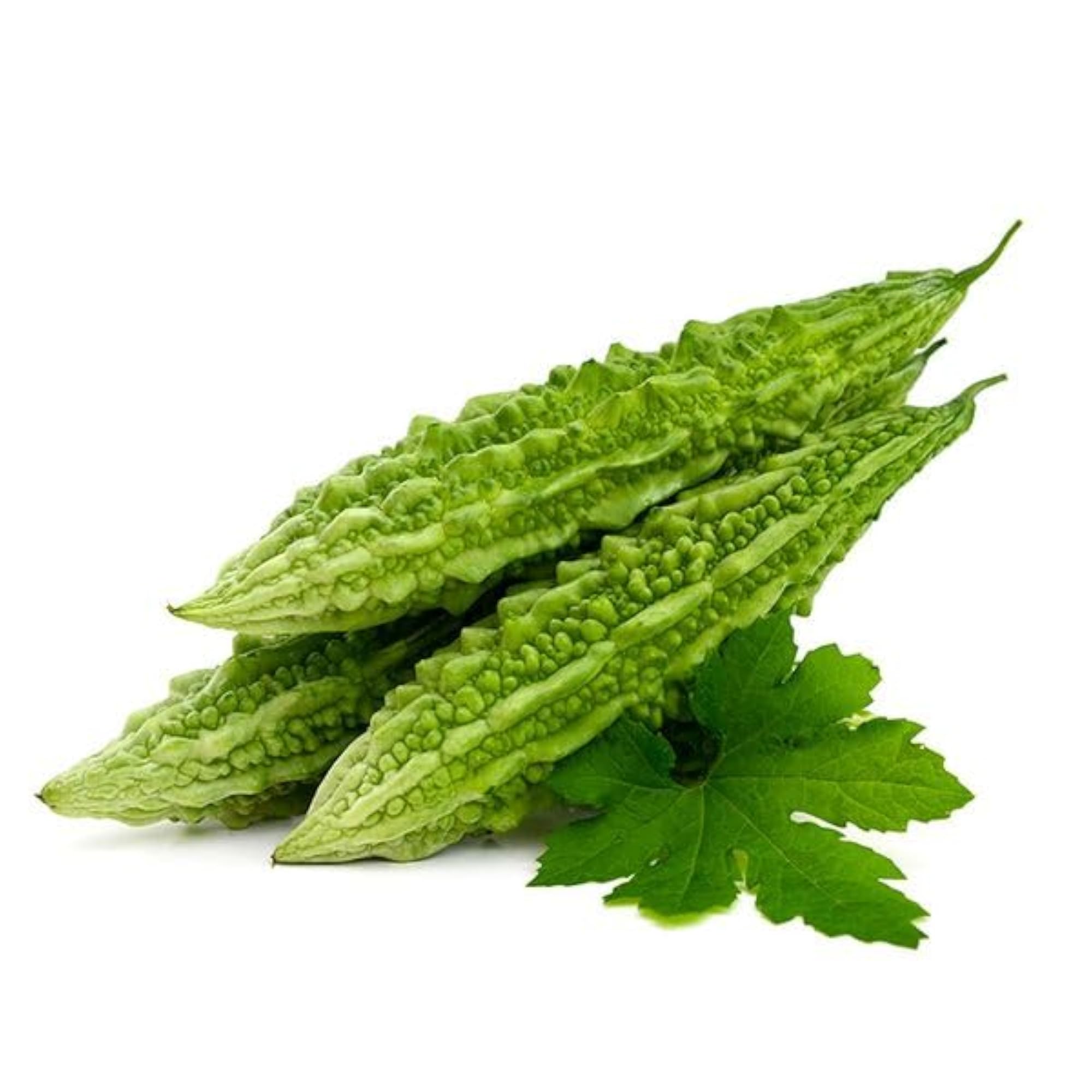 Bitter Gourd Powder Pack of 2x100g