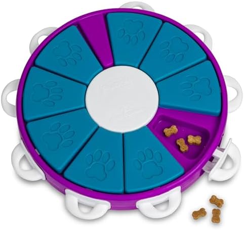 Outward Hound Brinquedo De Quebra-Cabeça Interativo Nina Ottosson...