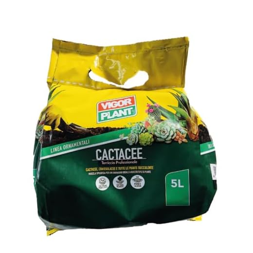 VIGORPLANT Terriccio per La Coltivazione delle Piante Grasse Confezione da 5 LT