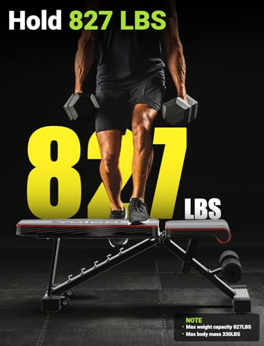 yoleo weight bench weight capacity