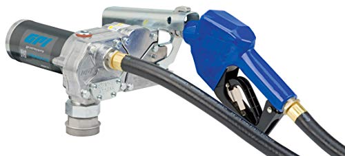 GPI 110000-82, M-1115-AU Fuel Transfer Pump, 12 GPM, 115V-AC, Automatic Nozzle, 12' Hose