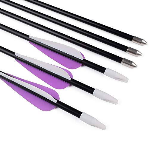 Elong Fiberglass Arrows Archery 26 Inch Target Shooting Practice Safety Recurve Bows Purple Suitable for Youth Kid Woman Beginner(6pcs)