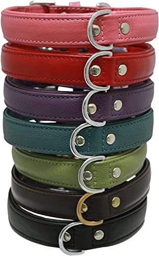 Angel Pet Supplies Alpine Plain Dog Collar By Angel. 24" X 1.25", Ocean Blue, Xl, 41055 #TOP2