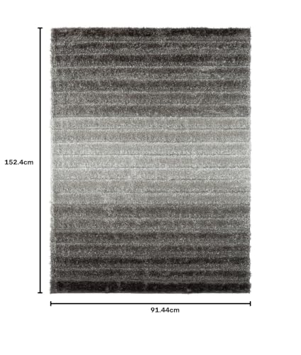 Image of Super Soft Floor Area Rug 3 x 5 Feet Soft Smooth Thick Non-Slip Fluffy Shaggy Carpet for Bedroom, Drawing, Kids Room, Office with Upto 2 Inch Microfiber High Pile (Gray Silver B)