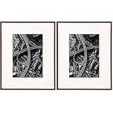 ハクバ HAKUBA 写真額縁 ZEROフレーム GA-01 A4サイズブラウン 前面アクリル板採用 軽く壁に負担をかけない樹脂製 細身の竿とワイドマット仕様で作品を引き立てる FZGA01-A4BR 4977187496932 (× 2)