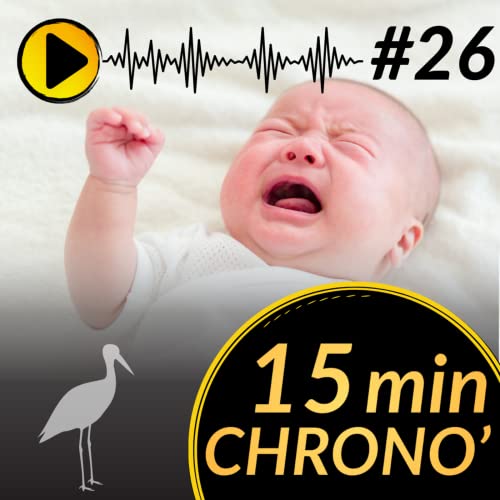 #26 version courte "Pleurs de b&eacute;b&eacute;s... quelques rep&egrave;res" Podcast Por  arte de portada