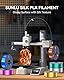 SUNLU PLA Plus Shiny Silk 3D Drucker Filament 1.75mm, Silk PLA+ 3D Druck Filament mit Seidenglattes Finish, Gute Farbwiedergabe, Maßgenauigkeit +/- 0,02mm, 1kg(2.2lb) Spule, PLA+ Silk Silber