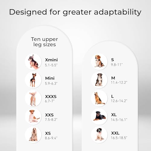 Ortocanis - Karpalgelenk-Bandage für Hund - Arthrose, Bänder- und Sehnenverletzungen oder Agility-Hunde - Hergestellt aus Neopren ARD - Größe L 17-19 cm