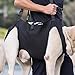 Hundehebegeschirr, Tragegeschirr für Hunde, Tragegeschirr Hund Hebegeschirr für Hunde, Stützgeschirr für Hinterbeine von Hunden mit Griffen