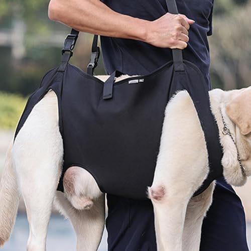 Hundehebegeschirr, Tragegeschirr für Hunde, Tragegeschirr Hund Hebegeschirr für Hunde, Stützgeschirr für Hinterbeine von Hunden mit Griffen