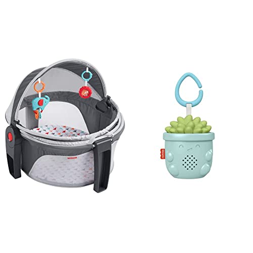 Image of Fisher Price on The Go Dome and Soother Bundle