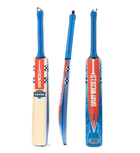 Gray-Nicolls Havoc 1.0 Smash Junior Kashmir Willow Cricket Bat (4)