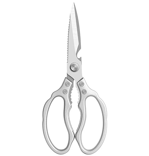 �͂��݁C �ϋv���̍����X�e�����X�|�̌{�͂���(D)