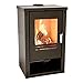 Produktbild Kaminofen Holz Theia Holzofen 9 kW Kamin Ofen Dauerbrandofen Werkstattofen Schwedenofen Hüttenofen Heizofen