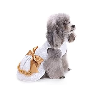 PETCUTE Hundekleid Haustier Kleine Hund Kleidung,Hundesommerkleid Haustier Hundekleid,Schöne Blume Haustier-Kleidung Elegante Bowknot Welpen Rock,Hundeprinzessin Kleider Tutu Hochzeit Spitze Kleid