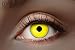 Produktbild Eyecatcher 84027541-013 - Farbige UV-Kontaktlinsen, 1 Paar, für 12 Monate, Neon Gelb, leuchtend, Karneval, Fasching, Halloween
