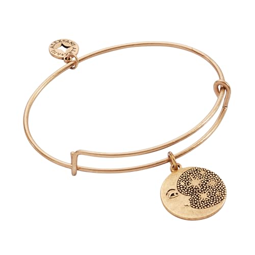 Alex and Ani Moon + Star �`���[���o���O���B