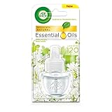 Airwick aroma enchufe/nachfüllf lakon