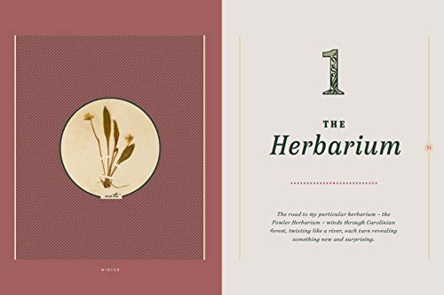 Field Study: Meditations on a Year at the Herbarium