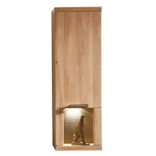 INA Hängevitrine Kaschmir/Riva Eiche - LED-Beleuchtet & FSC-Zertifiziert 40x124x36cm